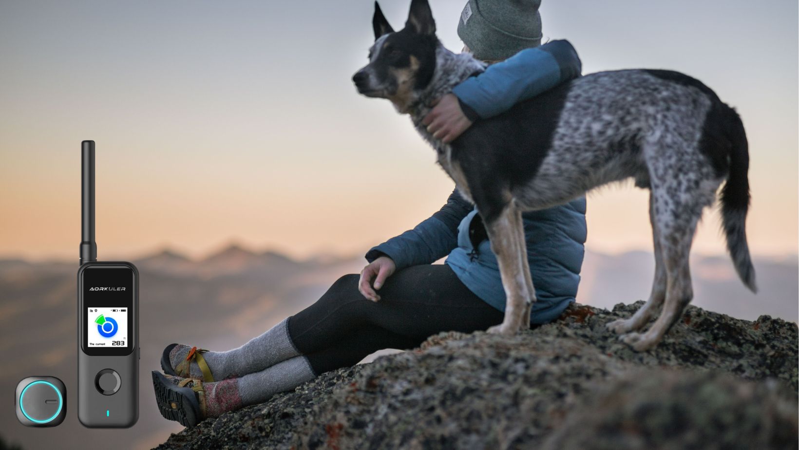 Top Tips to Find the Best GPS Dog Tracker for Rural Areas